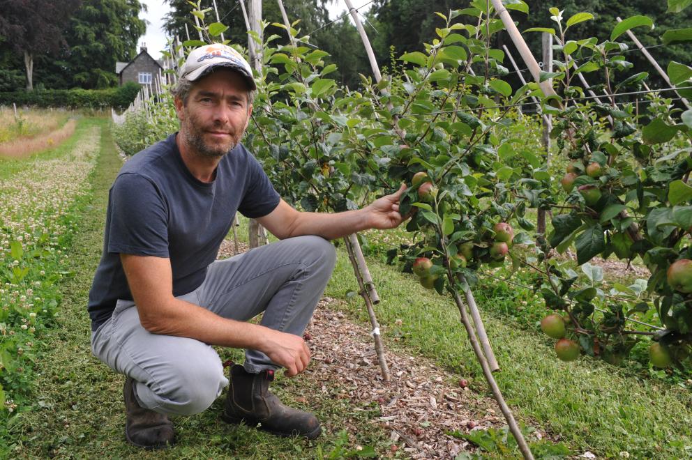 Welsh fruit tree grower uses power of nature to control pests Farming